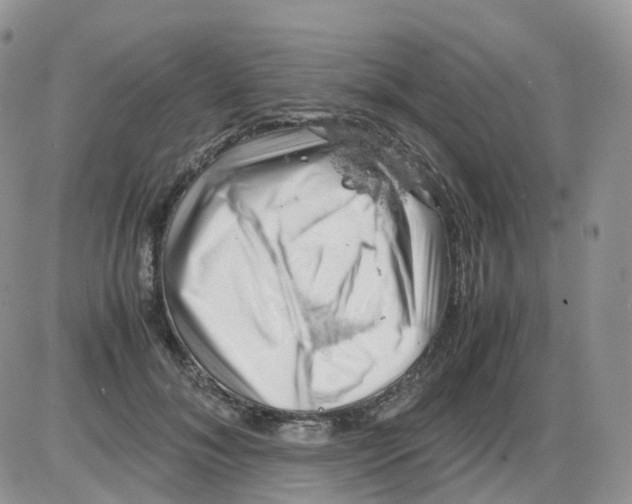 X0000086030700200704201946