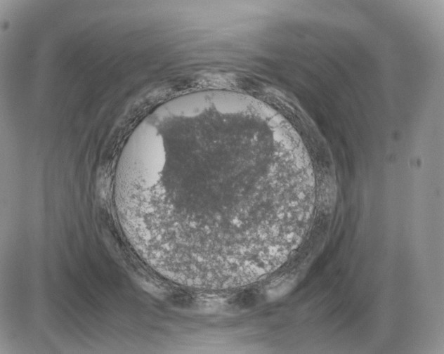 X0000086030701200704201946