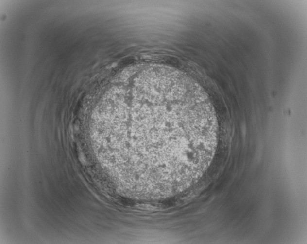 X0000086030703200704201946