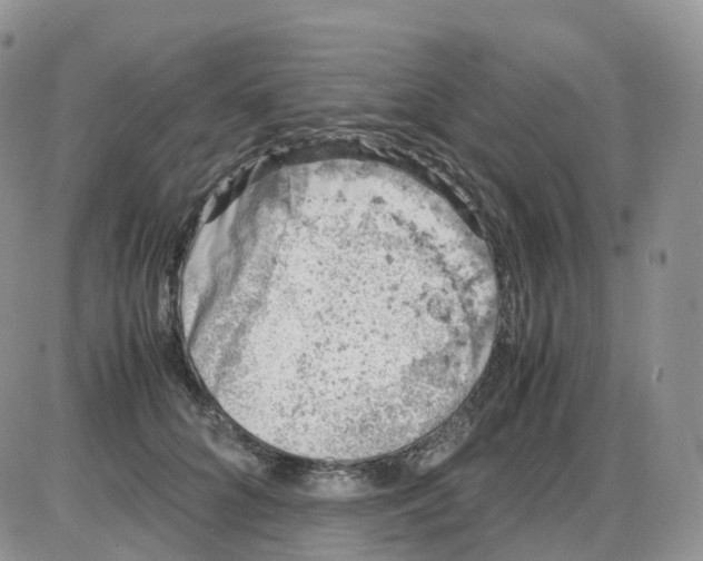 X0000086030704200704201946