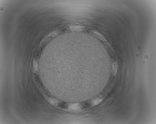 X0000086030705200704201946