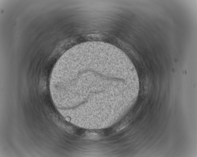 X0000086030706200704201946