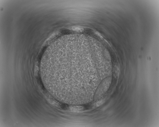 X0000086030707200704201946