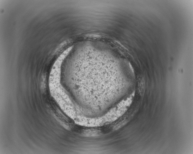 X0000086030708200704201946