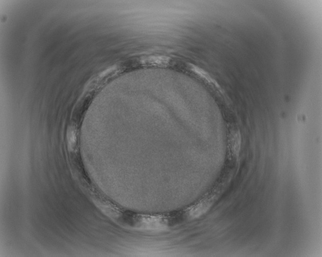 X0000086030709200704201946