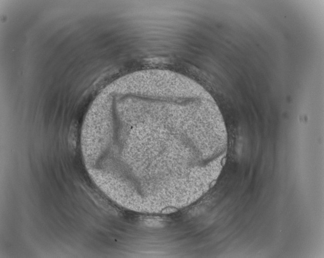 X0000086030710200704201946