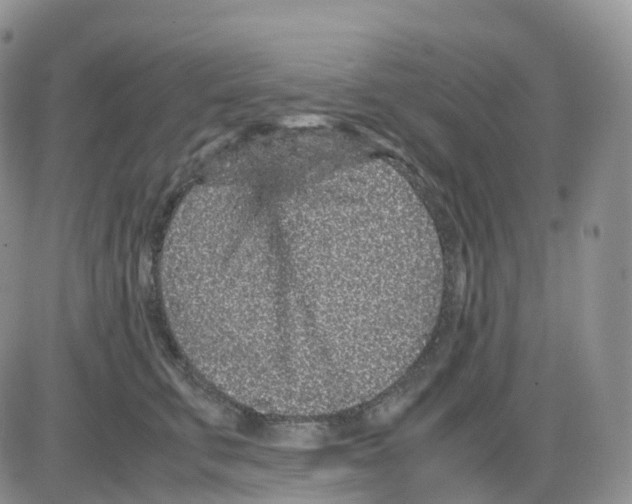 X0000086030711200704201946