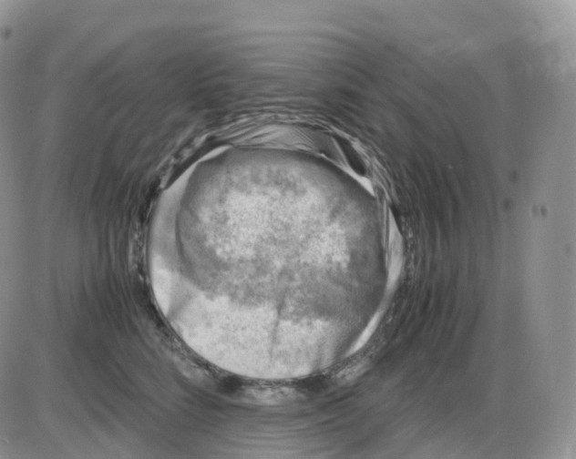 X0000086030712200704201946