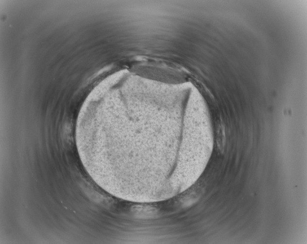 X0000086030714200704201946