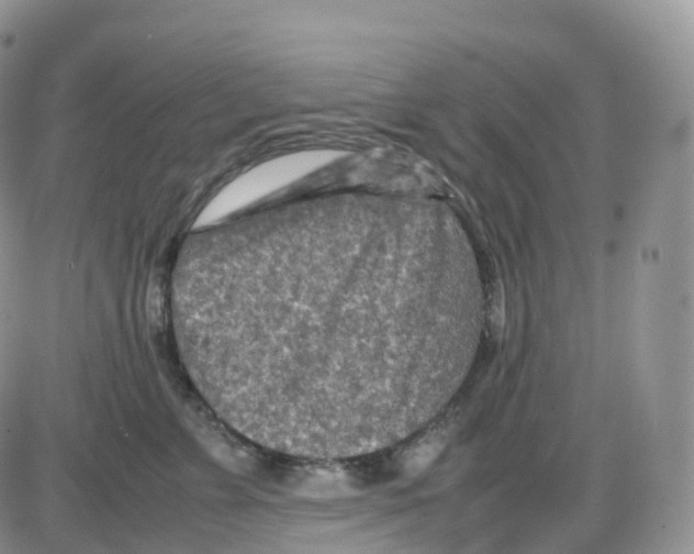 X0000086030715200704201946