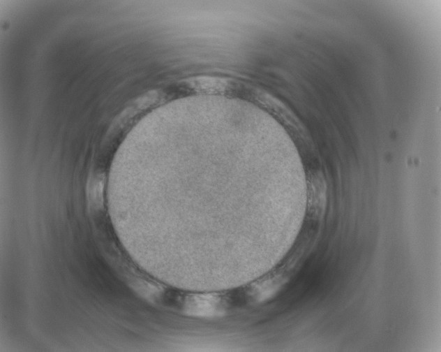 X0000086030717200704201946