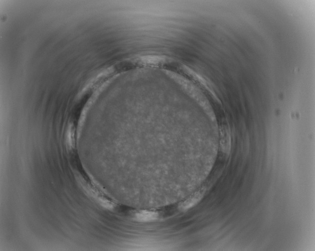 X0000086030718200704201946