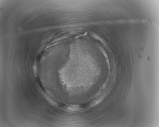 X0000086030720200704201946