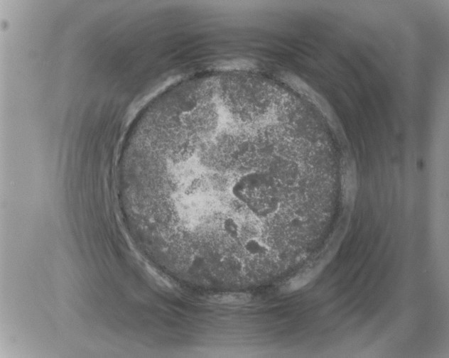 X0000086030721200704201945