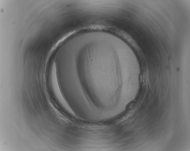 X0000086030722200704201945