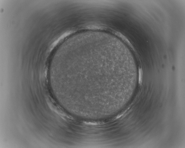 X0000086030723200704201945