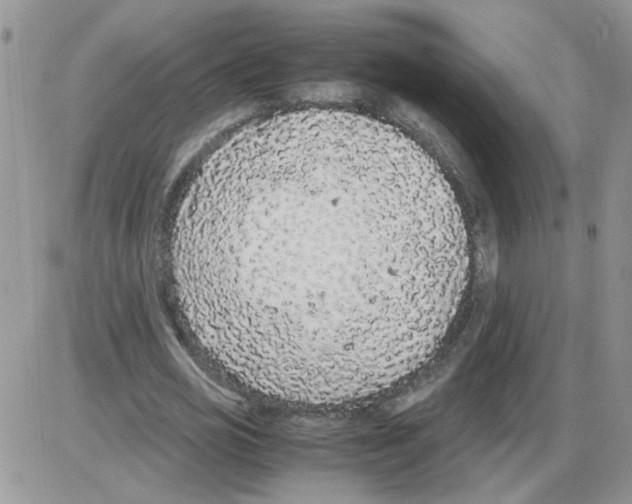 X0000086030725200704201945