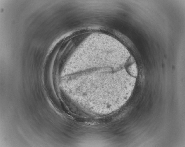 X0000086030728200704201945