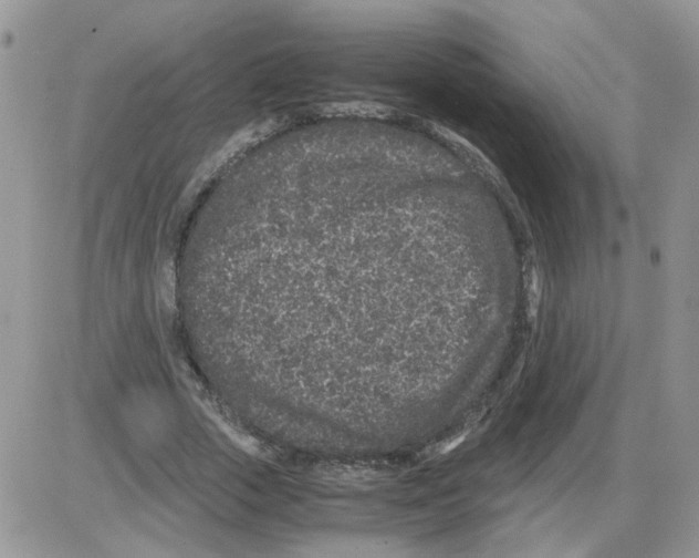 X0000086030729200704201945