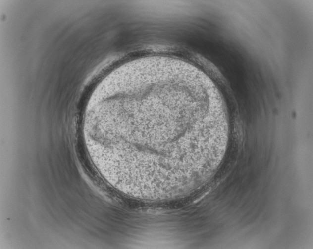 X0000086030730200704201945