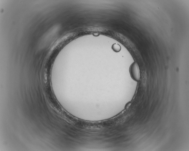 X0000086030731200704201945