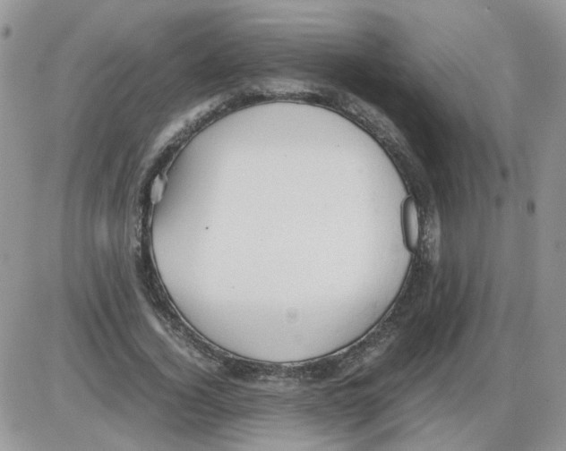 X0000086030732200704201945