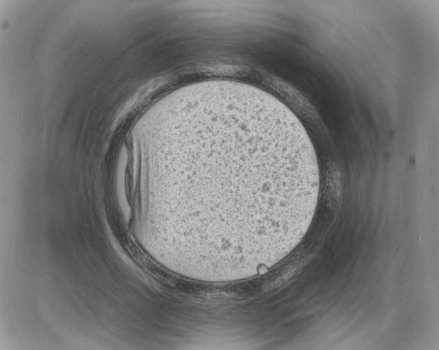 X0000086030734200704201945