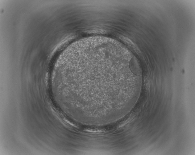 X0000086030735200704201945