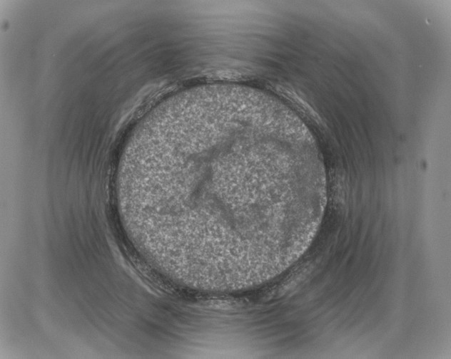 X0000086030738200704201945