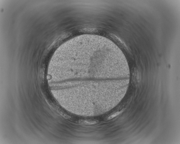 X0000086030739200704201945