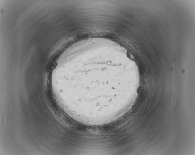 X0000086030742200704201946