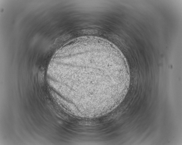 X0000086030745200704201946