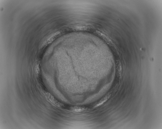 X0000086030746200704201946