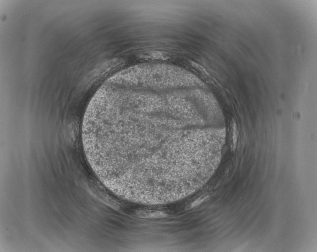 X0000086030747200704201946