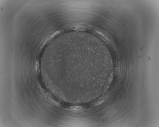 X0000086030748200704201946