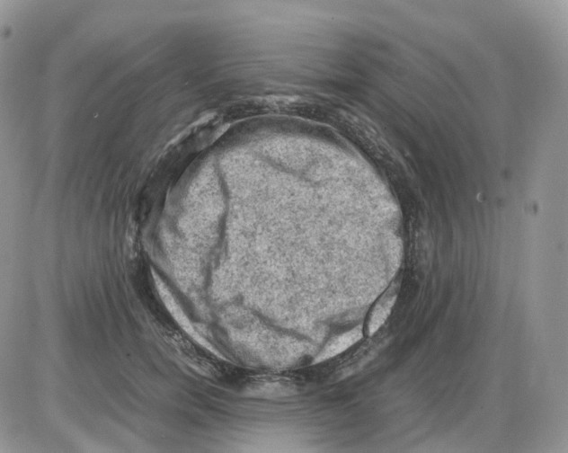 X0000086030750200704201946