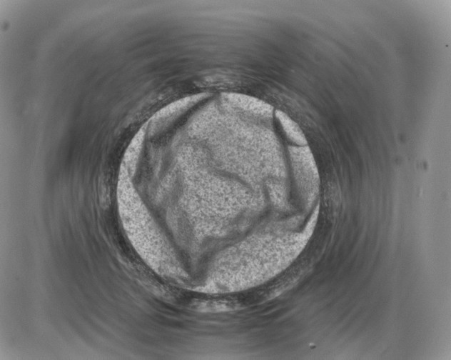 X0000086030751200704201946