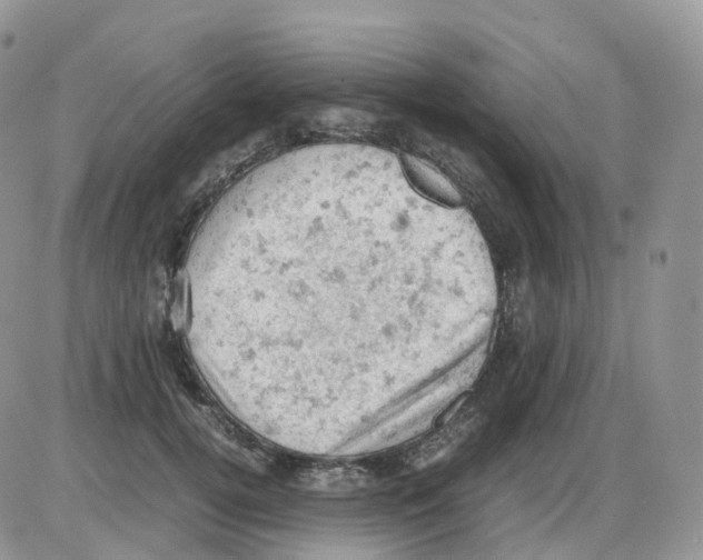 X0000086030752200704201946