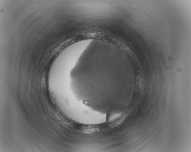 X0000086030754200704201946