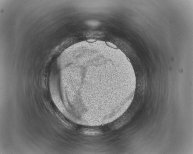 X0000086030755200704201946