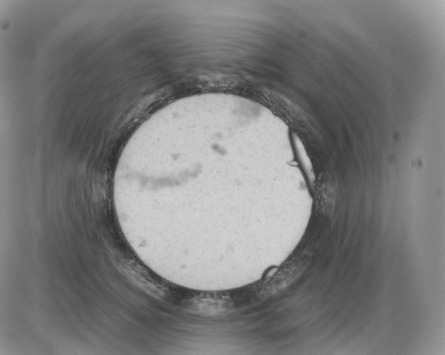 X0000086030756200704201946