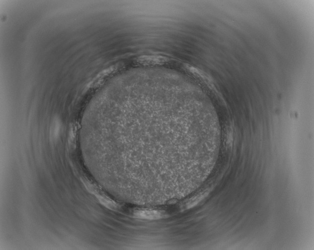 X0000086030759200704201946