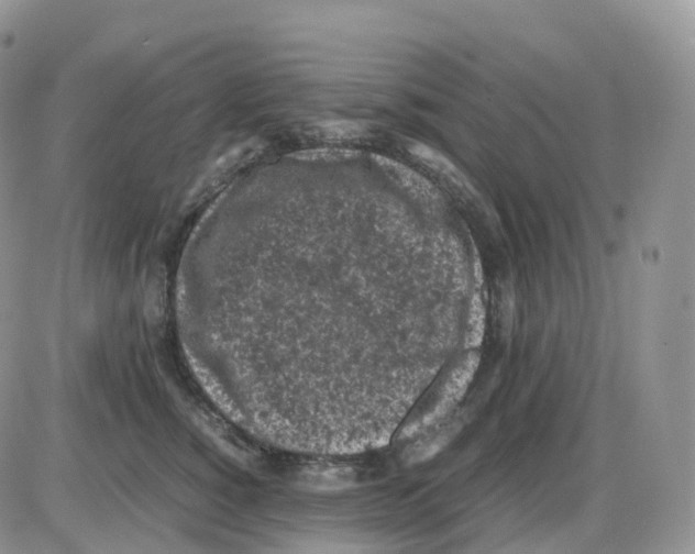 X0000086030760200704201946