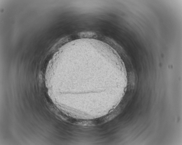 X0000086030761200704201946