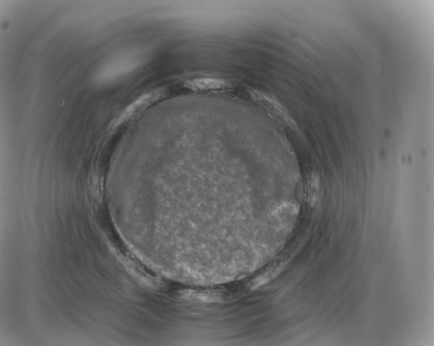 X0000086030763200704201946