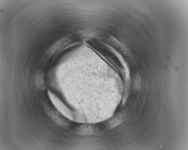 X0000086030764200704201946