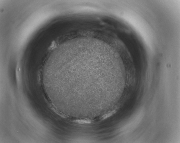 X0000086030765200704201946