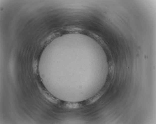 X0000086030767200704201946