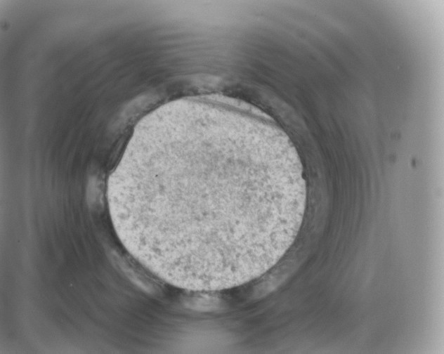 X0000086030768200704201946