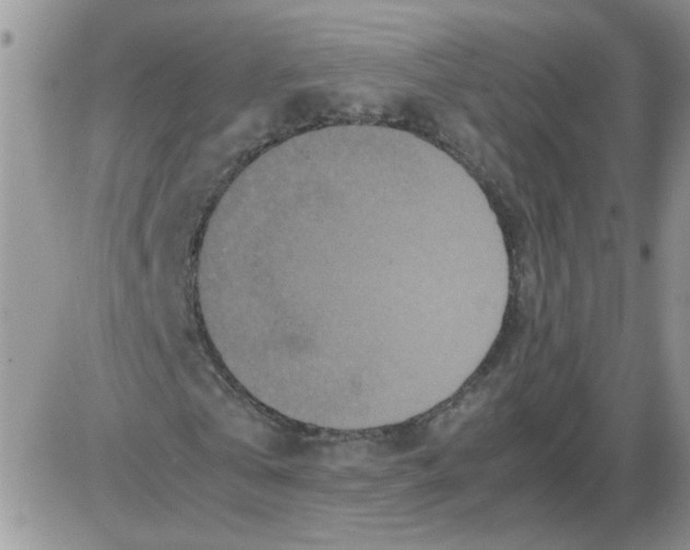 X0000086030769200704201945